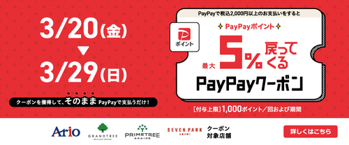PayPayバナー