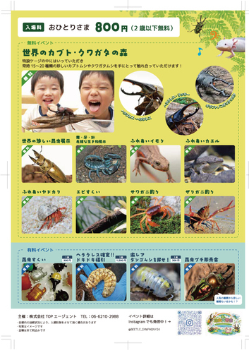 昆虫２