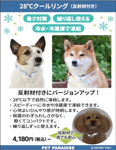 ワンちゃん用「28℃クールリング」