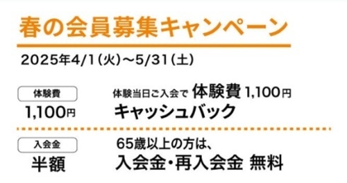 春号チラシ画像１