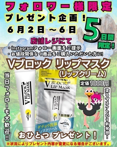 フォロワー様限定プレゼント企画！