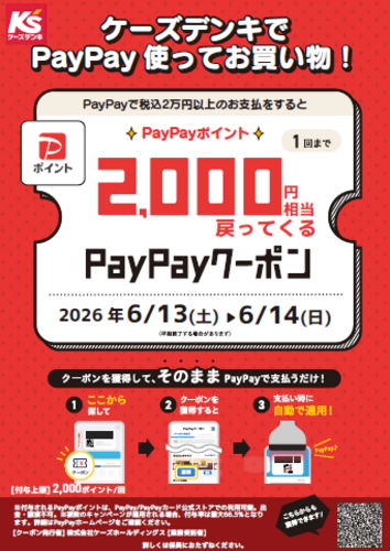 ケーズデンキでPayPay使ってお買い物！