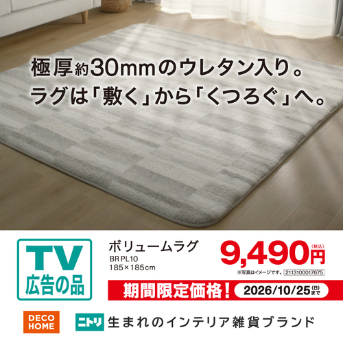 【TVCM品】Nウォームラグ
