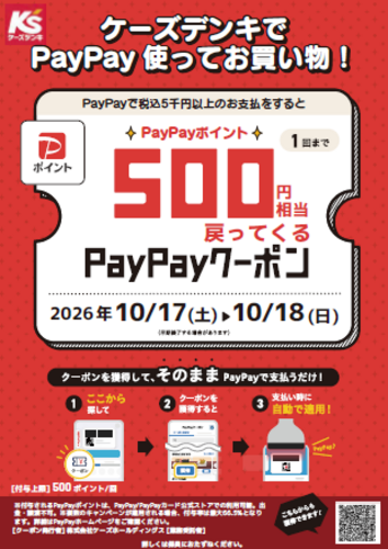 ケーズデンキでPayPay使ってお買い物！